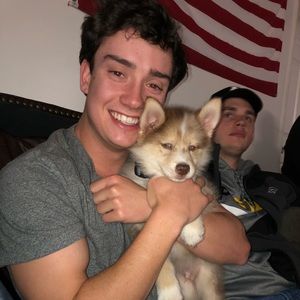 Meet your Posher, Griffin